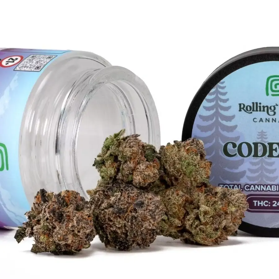 Fig Farms The Big Dipper | Big Buds — flower