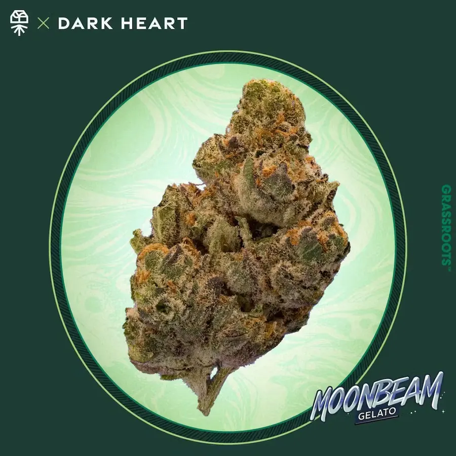 Alien Labs Gemini Indoor — flower