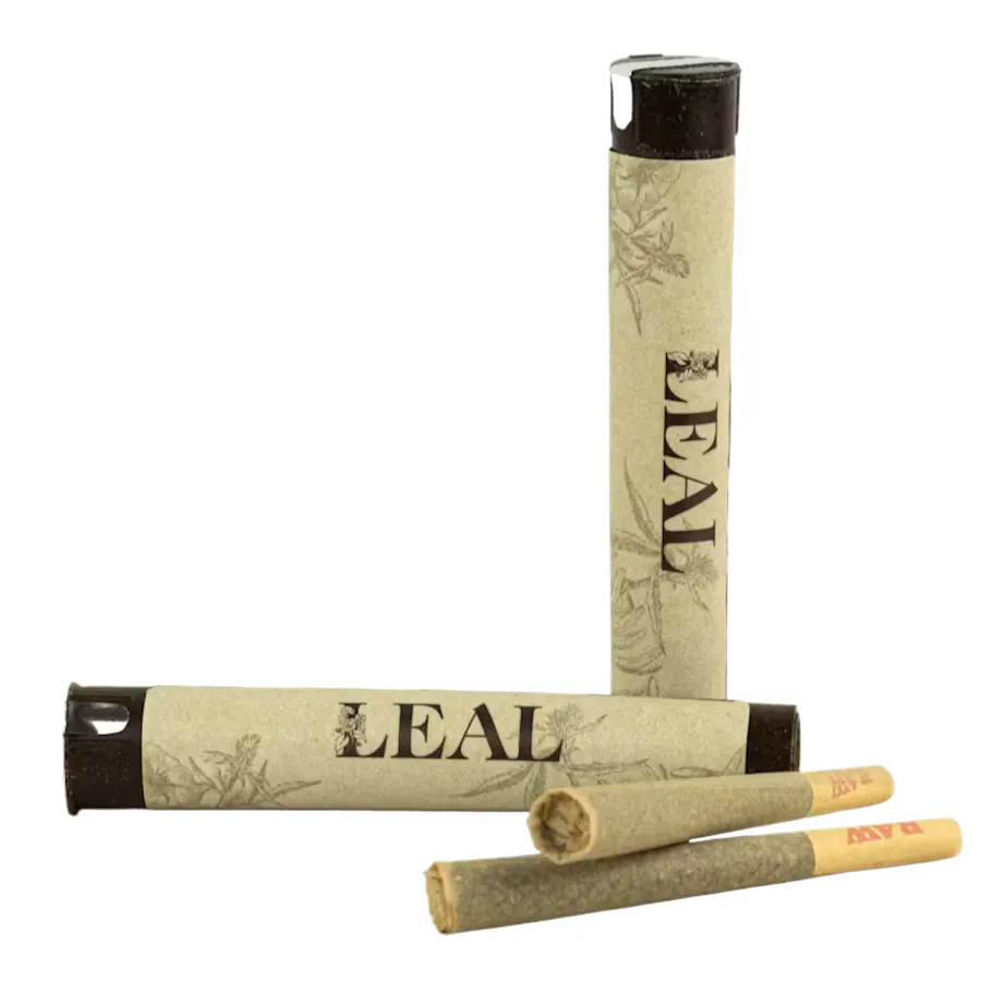 Jeeter Apple Fritter Quad-Infused Minis — pre rolls