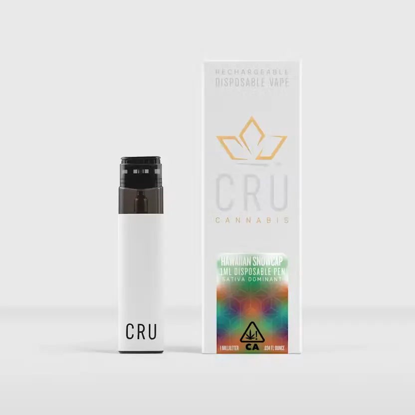 STIIIZY Pineapple Runtz Starter Pack Pod — vape